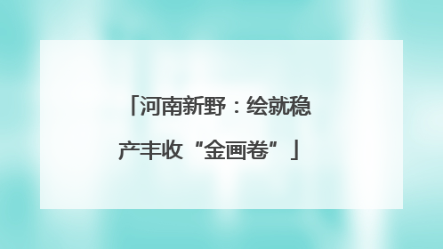 河南新野：绘就稳产丰收“金画卷”