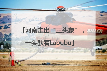 河南走出“三头象”，一头驮着Labubu