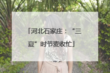 河北石家庄：“三夏”时节麦收忙