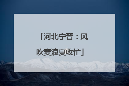 河北宁晋：风吹麦浪夏收忙