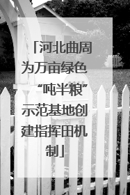 河北曲周为万亩绿色“吨半粮”示范基地创建指挥田机制