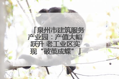 泉州市建筑服务产业园：产值大幅跃升 老工业区实现“破茧成蝶”