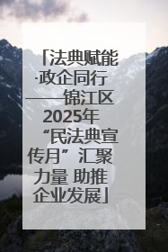 法典赋能·政企同行——锦江区2025年“民法典宣传月”汇聚力量 助推企业发展