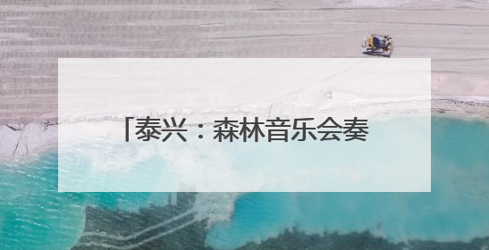 泰兴：森林音乐会奏响文旅融合新乐章