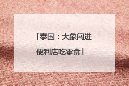 泰国：大象闯进便利店吃零食