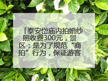 泰安岱庙内拍婚纱照收费300元，景区：是为了规范“商拍”行为，保证游客体验，收取费用全部上交国库