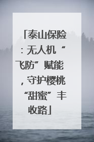 泰山保险：无人机“飞防”赋能，守护樱桃“甜蜜”丰收路