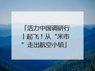 活力中国调研行丨起飞！从“米市”走出航空小镇