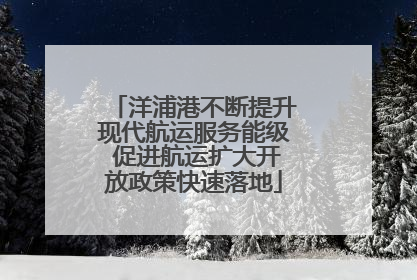 洋浦港不断提升现代航运服务能级 促进航运扩大开放政策快速落地