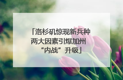 洛杉矶惊现新兵种 两大因素引爆加州“内战”升级