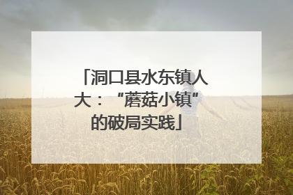 洞口县水东镇人大：“蘑菇小镇”的破局实践