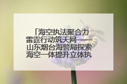 海空执法聚合力 雷霆行动筑天网——山东烟台海警局探索海空一体提升立体执法效能纪实