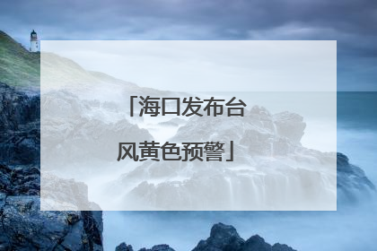 海口发布台风黄色预警
