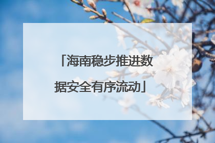 海南稳步推进数据安全有序流动