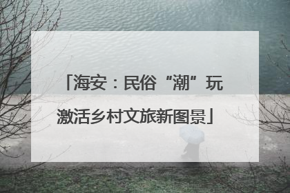 海安：民俗“潮”玩激活乡村文旅新图景