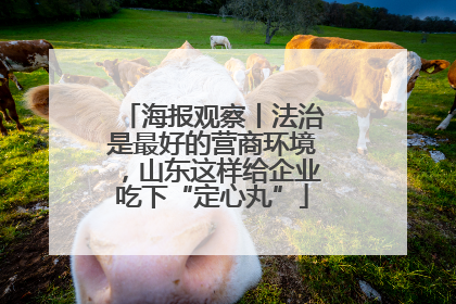 海报观察丨法治是最好的营商环境，山东这样给企业吃下“定心丸”