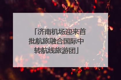 济南机场迎来首批航旅融合国际中转航线旅游团