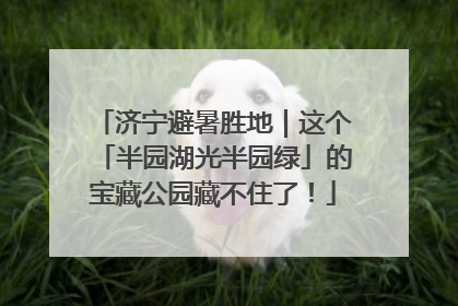 济宁避暑胜地｜这个「半园湖光半园绿」的宝藏公园藏不住了！