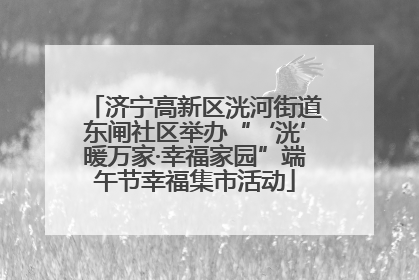 济宁高新区洸河街道东闸社区举办“‘洸’暖万家·幸福家园”端午节幸福集市活动