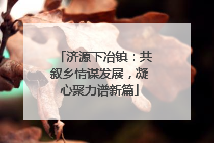 济源下冶镇：共叙乡情谋发展，凝心聚力谱新篇