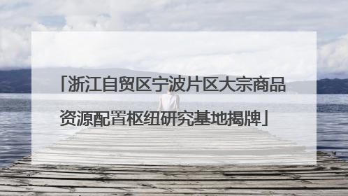 浙江自贸区宁波片区大宗商品资源配置枢纽研究基地揭牌