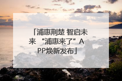 浦惠荆楚 智启未来 “浦惠来了”APP焕新发布