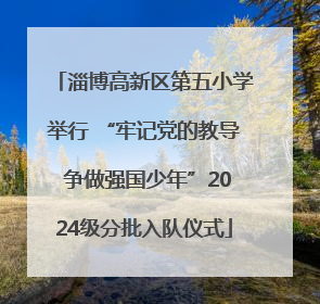 淄博高新区第五小学举行 “牢记党的教导 争做强国少年”2024级分批入队仪式