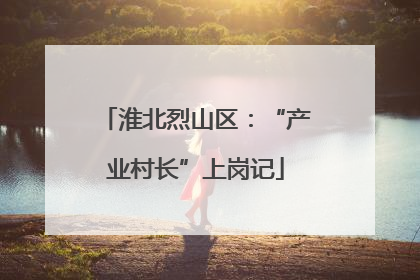 淮北烈山区：“产业村长”上岗记