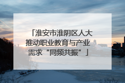 淮安市淮阴区人大推动职业教育与产业需求“同频共振”