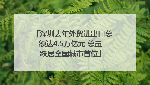 深圳去年外贸进出口总额达4.5万亿元 总量跃居全国城市首位