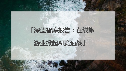 深蓝智库报告：在线旅游业掀起AI竞速战