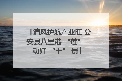 清风护航产业旺 公安县八里港 “莲” 动好 “丰” 景