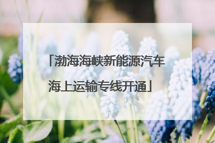 渤海海峡新能源汽车海上运输专线开通
