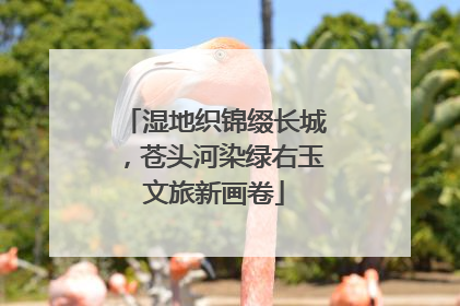 湿地织锦缀长城，苍头河染绿右玉文旅新画卷