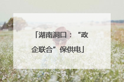 湖南洞口：“政企联合”保供电
