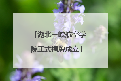 湖北三峡航空学院正式揭牌成立