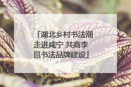 湖北乡村书法潮走进咸宁 共商李邕书法品牌建设