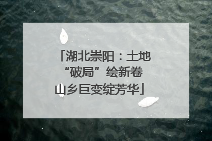 湖北崇阳：土地“破局”绘新卷 山乡巨变绽芳华