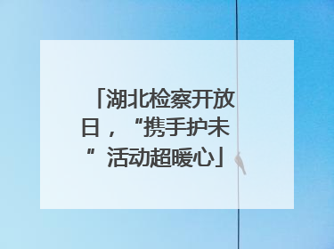 湖北检察开放日，“携手护未”活动超暖心