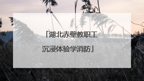 湖北赤壁教职工沉浸体验学消防