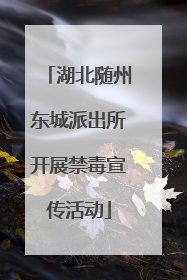 湖北随州东城派出所开展禁毒宣传活动