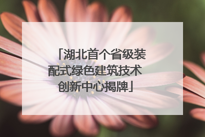 湖北首个省级装配式绿色建筑技术创新中心揭牌
