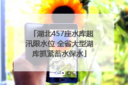 湖北457座水库超汛限水位 全省大型湖库抓紧蓄水保水