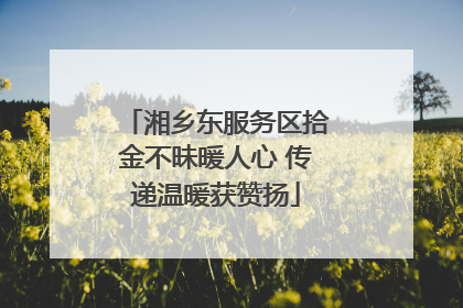 湘乡东服务区拾金不昧暖人心 传递温暖获赞扬