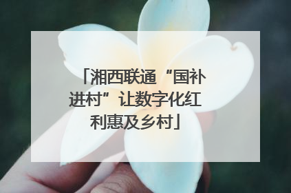 湘西联通“国补进村”让数字化红利惠及乡村