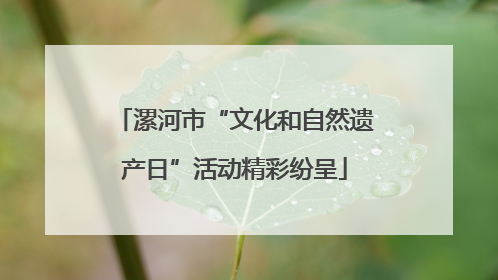 漯河市“文化和自然遗产日”活动精彩纷呈