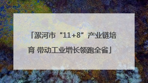 漯河市“11+8”产业链培育 带动工业增长领跑全省
