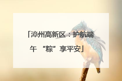 漳州高新区：护航端午 “粽”享平安