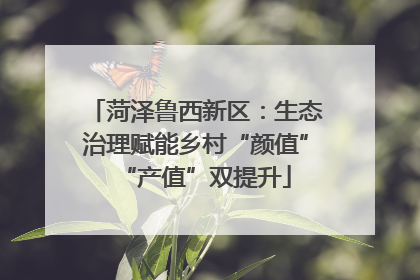 菏泽鲁西新区：生态治理赋能乡村“颜值”“产值”双提升