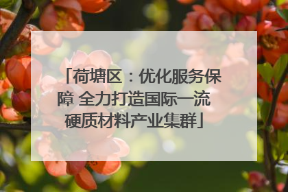 荷塘区：优化服务保障 全力打造国际一流硬质材料产业集群